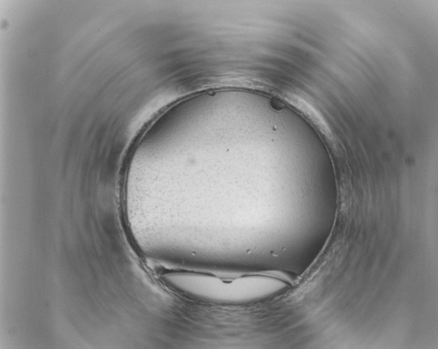 X0000088911043200706291524