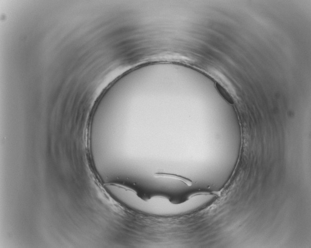 X0000088911044200706291524