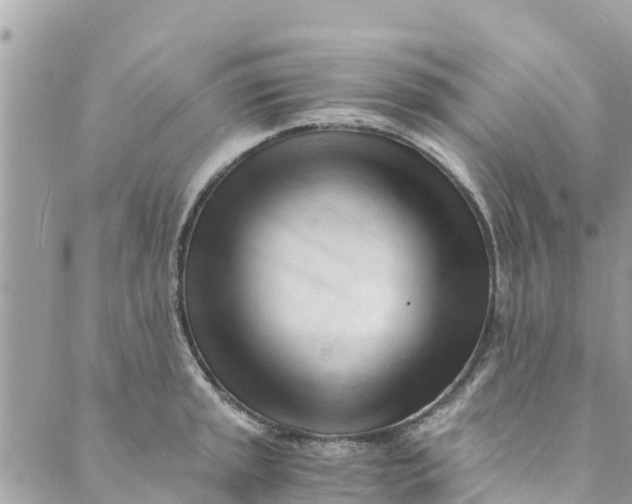 X0000088911045200706291524