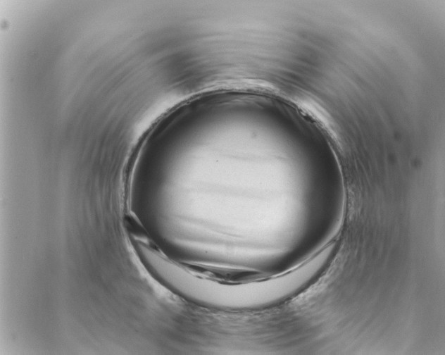 X0000088911046200706291524