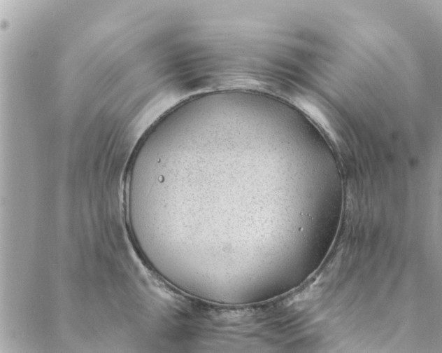 X0000088911047200706291524