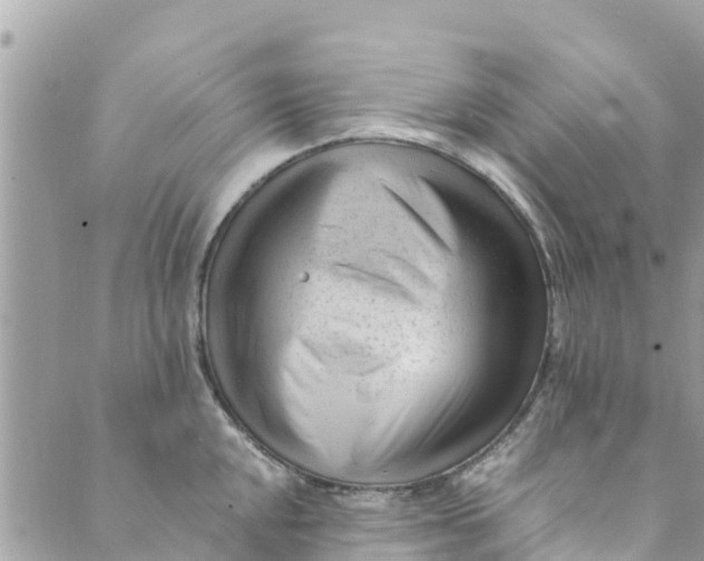 X0000088911048200706291524