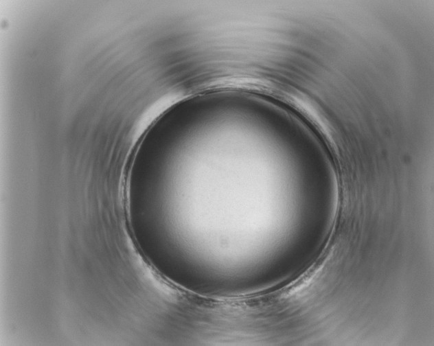 X0000088911050200706291524