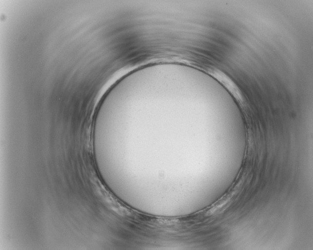 X0000088911052200706291525