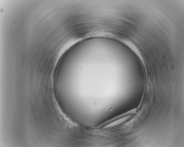 X0000088911053200706291525