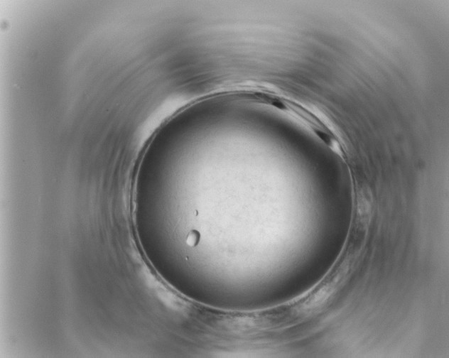 X0000088911054200706291525