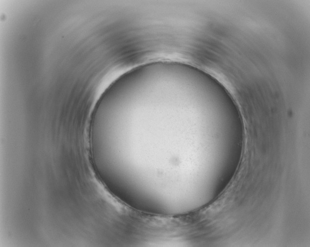 X0000088911056200706291525