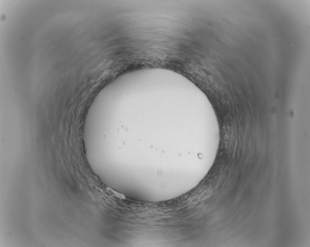 X0000088911057200706291524