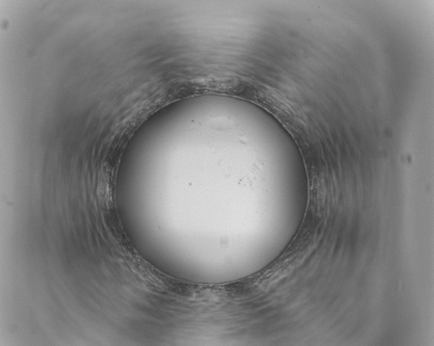 X0000088911058200706291524