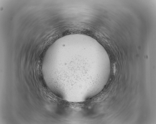 X0000088911059200706291524