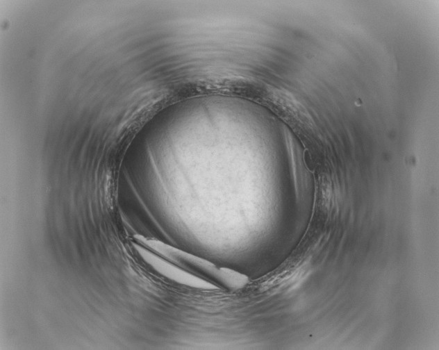 X0000088911060200706291524