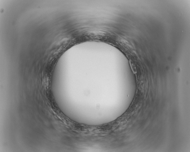 X0000088911061200706291524