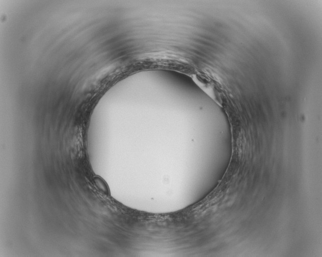 X0000088911062200706291524