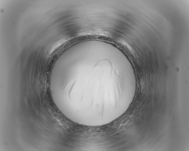 X0000088911064200706291524