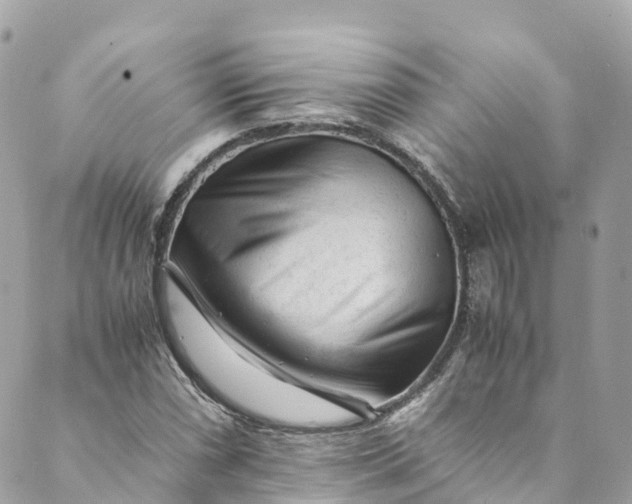 X0000088911066200706291524