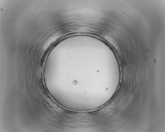 X0000088911067200706291524