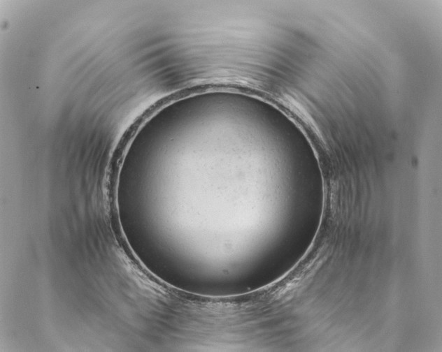 X0000088911068200706291524