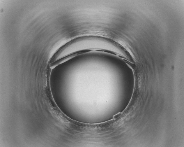 X0000088911069200706291524