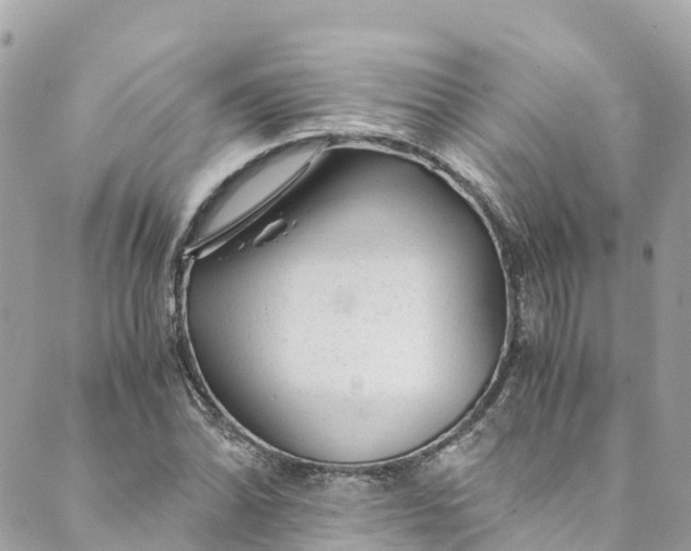 X0000088911070200706291524