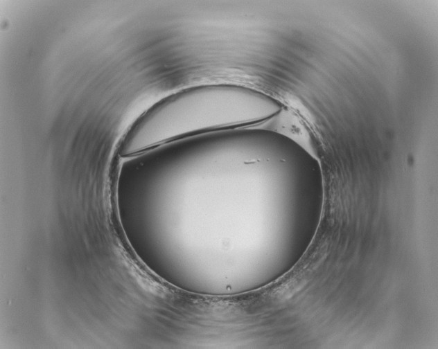 X0000088911072200706291524