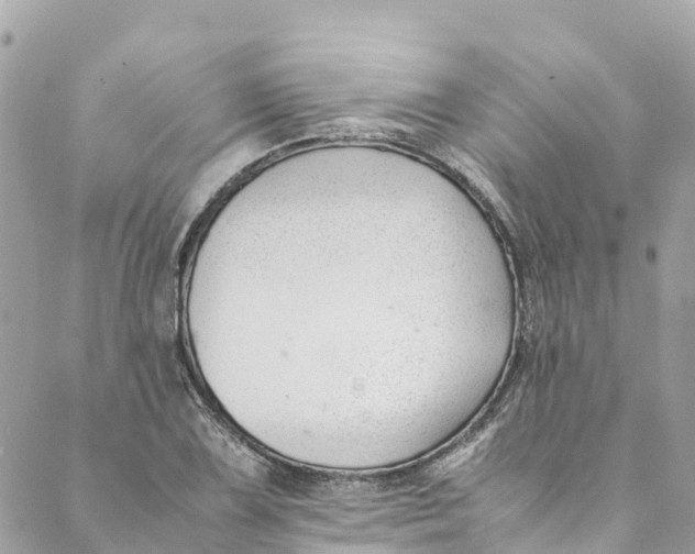 X0000088911075200706291523