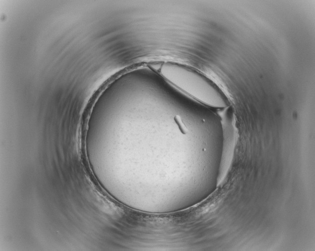 X0000088911076200706291523