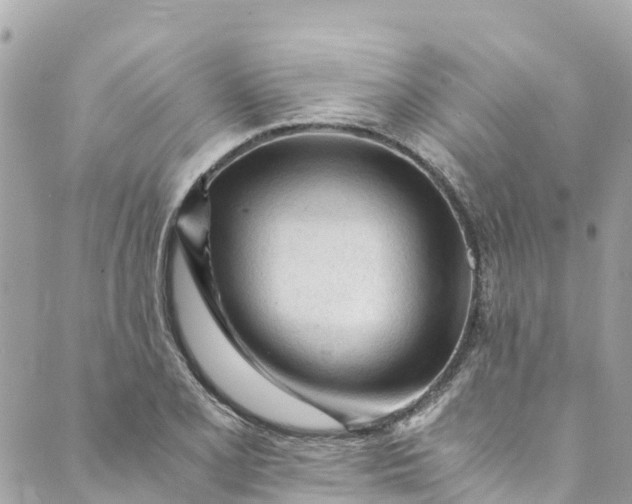 X0000088911077200706291523