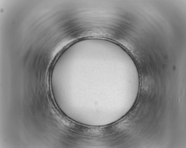 X0000088911078200706291523