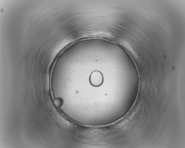 X0000088911079200706291523