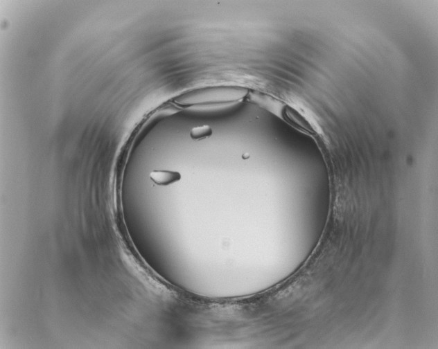 X0000088911080200706291523