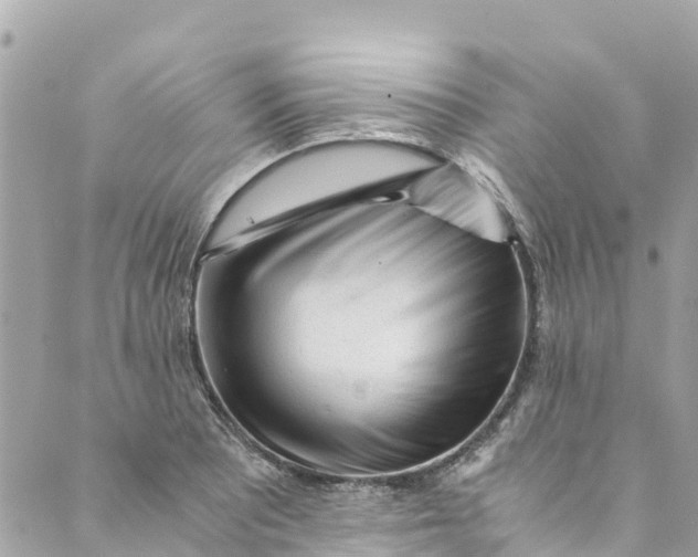 X0000088911081200706291523