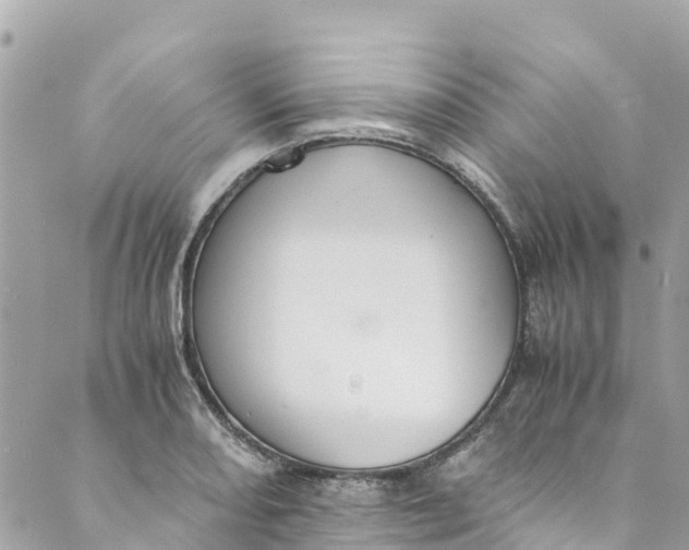 X0000088911082200706291523