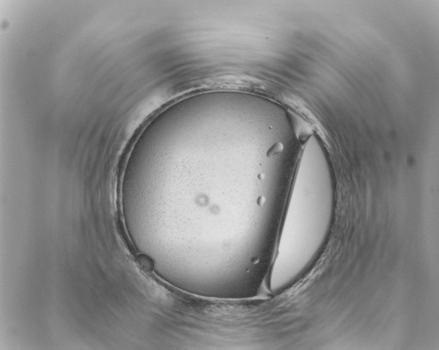 X0000088911083200706291523