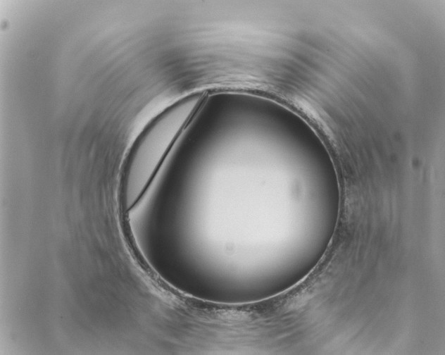 X0000088911085200706291523