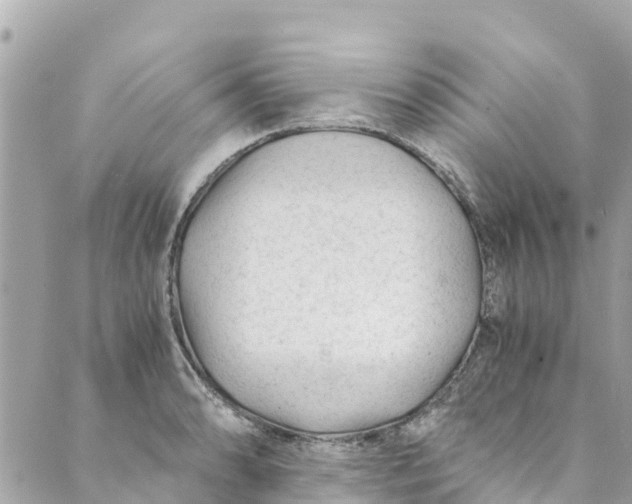 X0000088911086200706291523