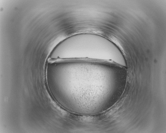 X0000088911087200706291523