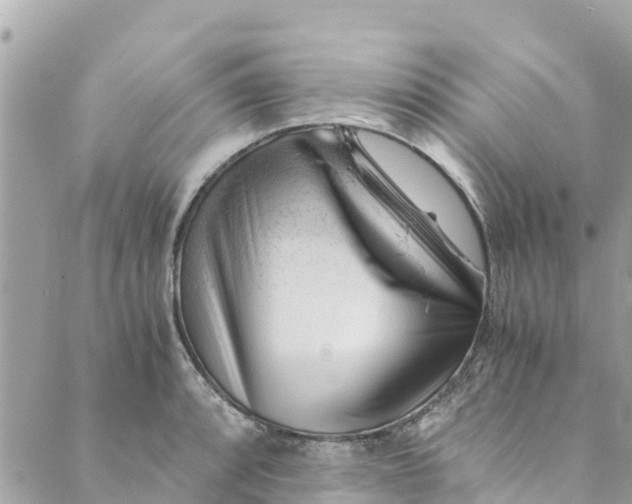 X0000088911088200706291523