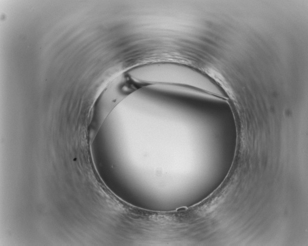 X0000088911089200706291523