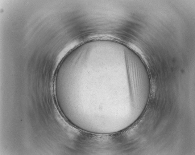 X0000088911090200706291523