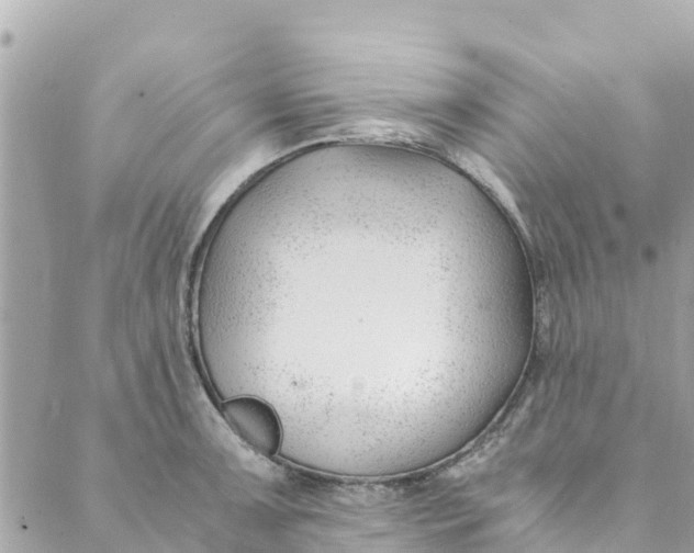 X0000088911091200706291523