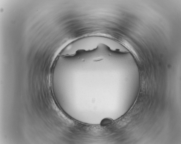 X0000088911092200706291523