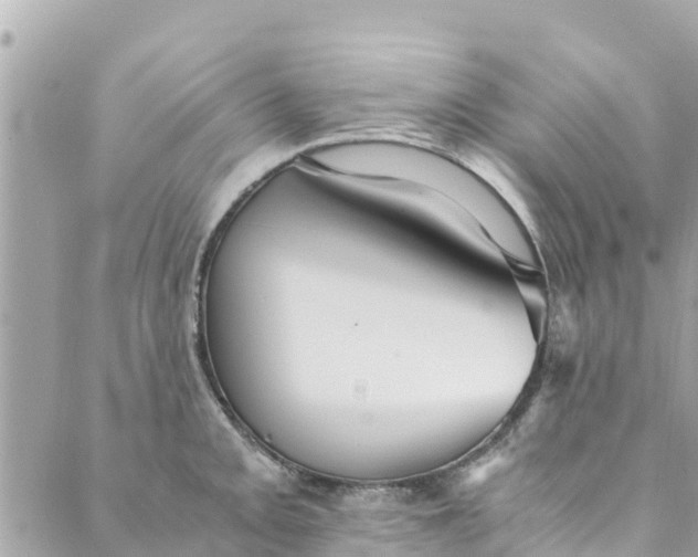 X0000088911093200706291523