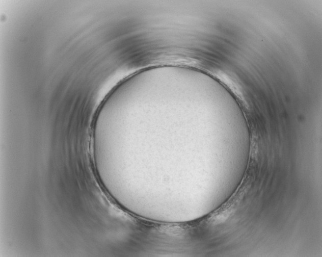 X0000088911094200706291523