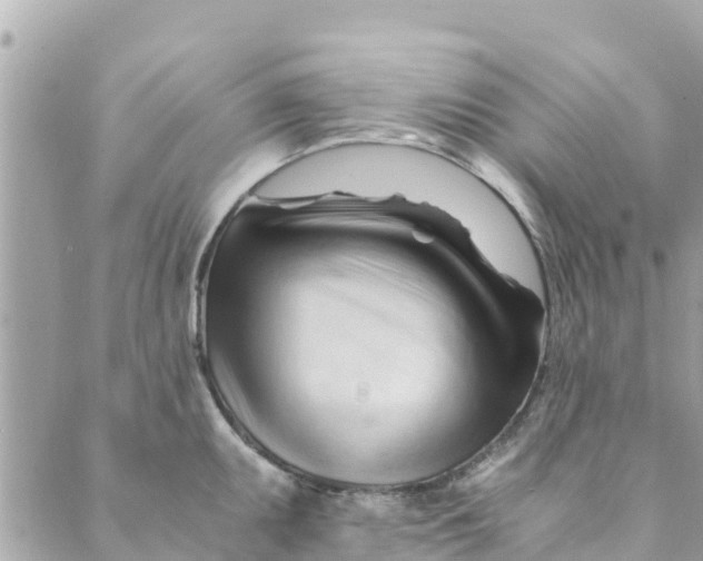 X0000088911095200706291523