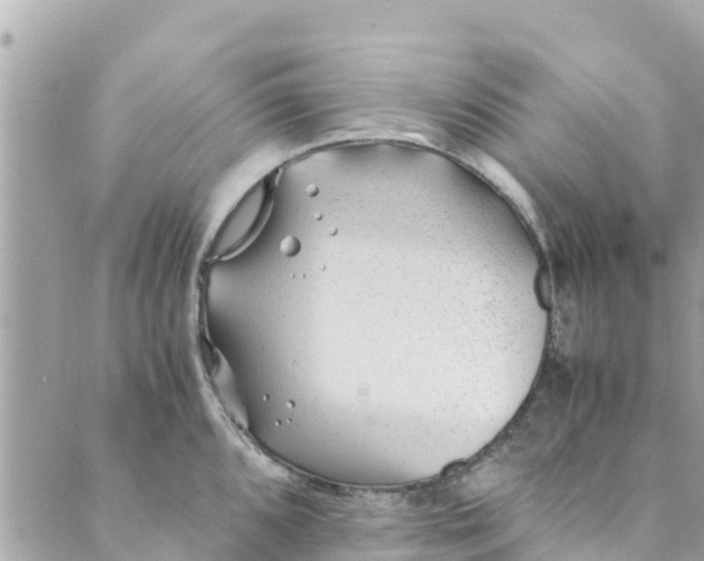 X0000088911096200706291523