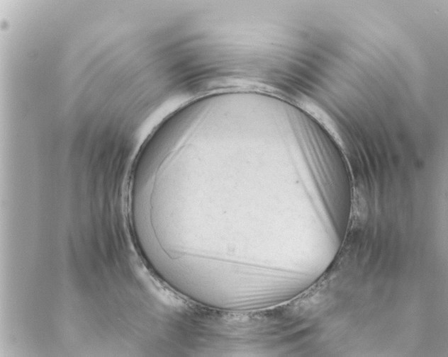 X0000088911098200706291523