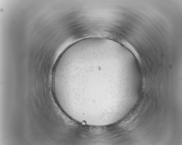 X0000088911099200706291523