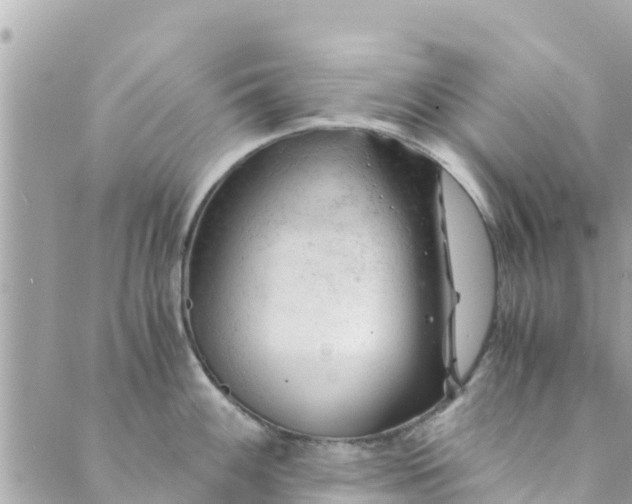 X0000088911100200706291523