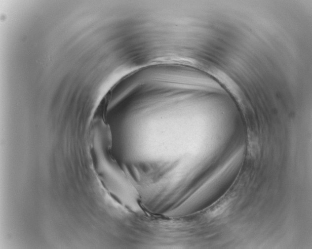 X0000088911102200706291523