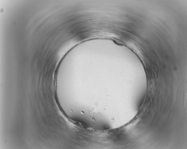 X0000088911103200706291523